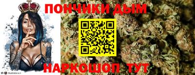 прущие грибы Комсомольск-на-Амуре