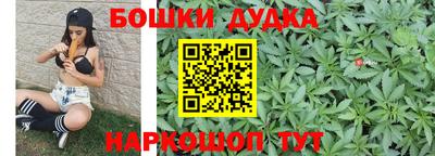 прущие грибы Комсомольск-на-Амуре
